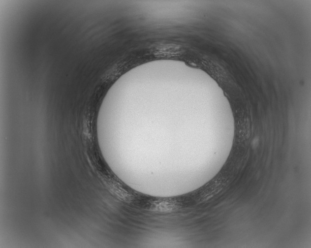 X0000071940755200608041527