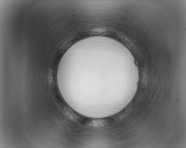 X0000071940758200608041527