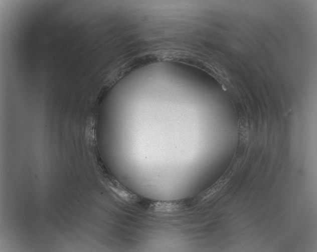 X0000071940766200608041527