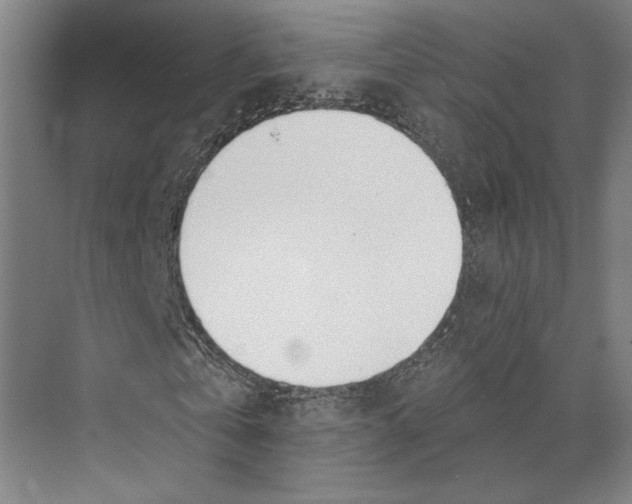 X0000071940769200608041526