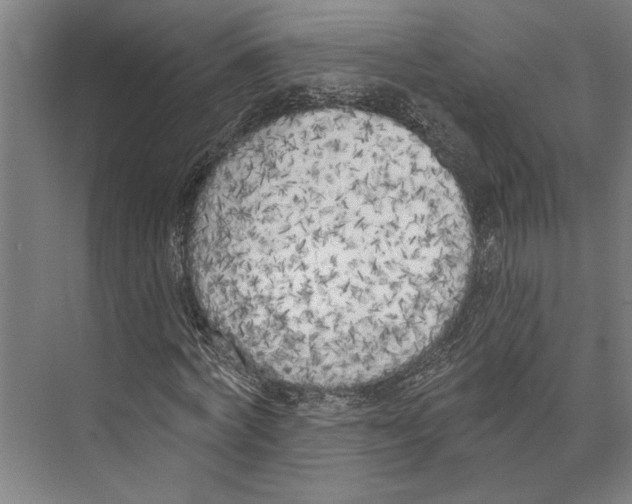 X0000071940772200608041526