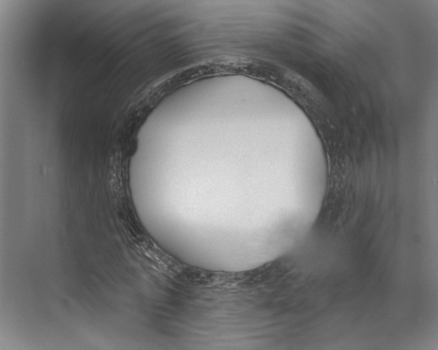 X0000071940773200608041526