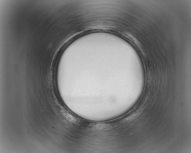 X0000071940779200608041526
