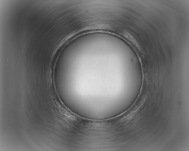 X0000071940781200608041526