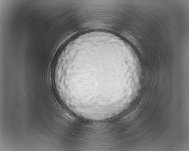 X0000071940782200608041526