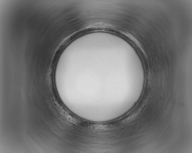 X0000071940783200608041526