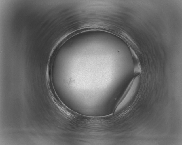 X0000071940788200608041526