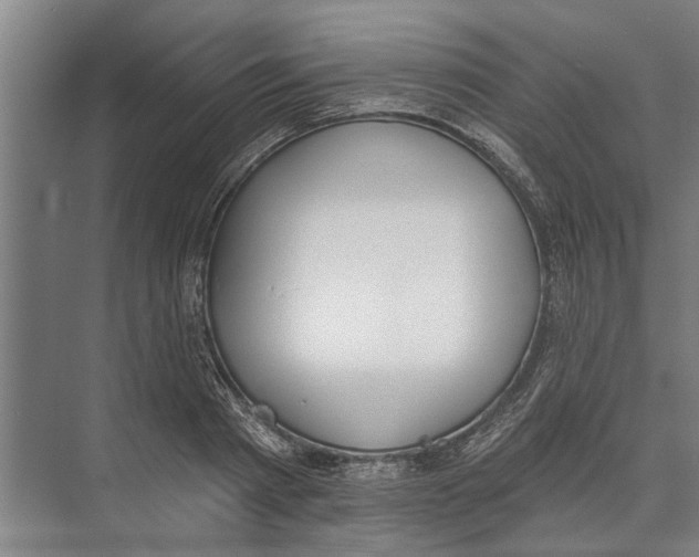 X0000071940793200608041526