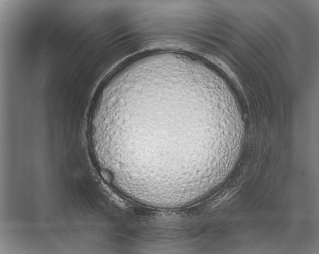 X0000071940799200608041526