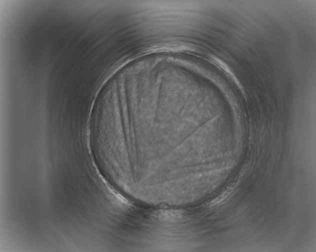 X0000071940802200608041525