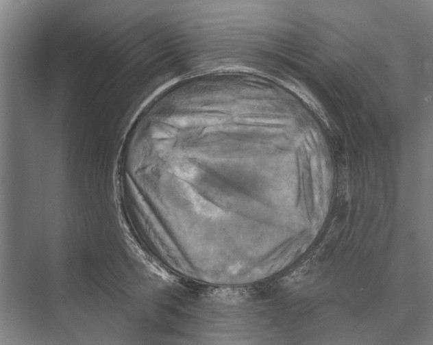 X0000071940806200608041525