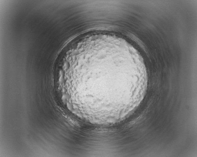 X0000071940829200608041525