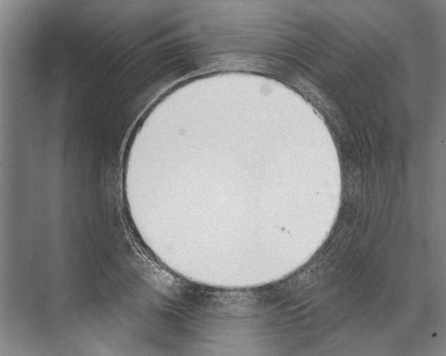 X0000071940836200608041525