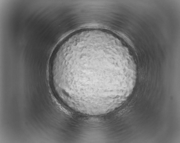 X0000071940839200608041525