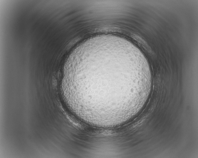X0000071940841200608041525