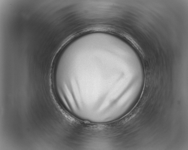 X0000071940853200608041525