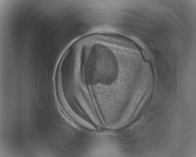 X0000071940864200608041525