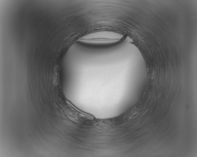X0000071940868200608041524