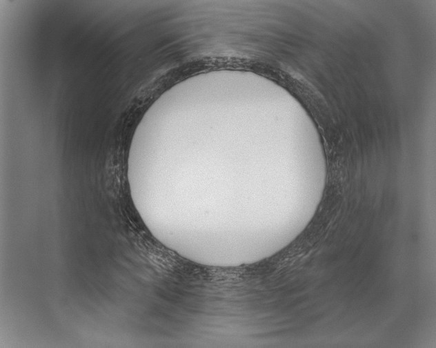 X0000071940870200608041524