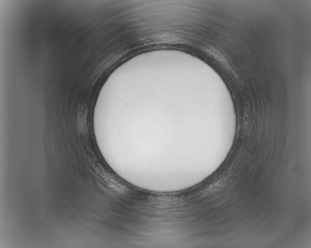 X0000071940873200608041524