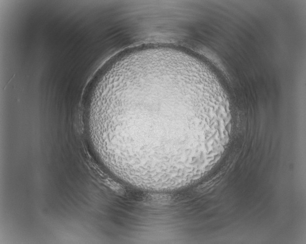 X0000071940878200608041524