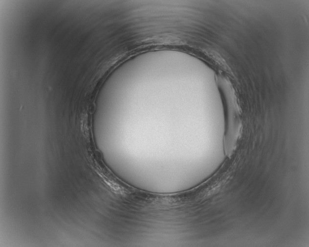 X0000071940881200608041524