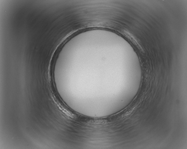 X0000071940884200608041524