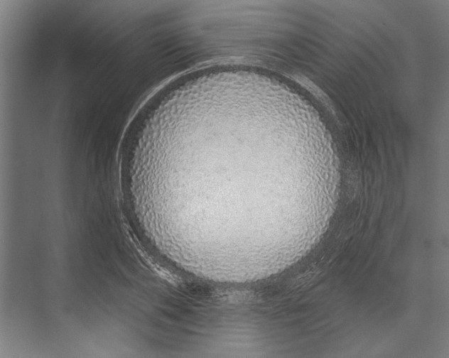 X0000071940886200608041524