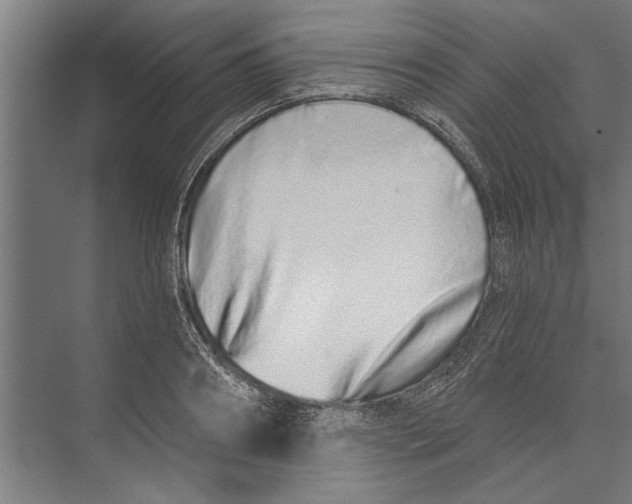 X0000071940890200608041524