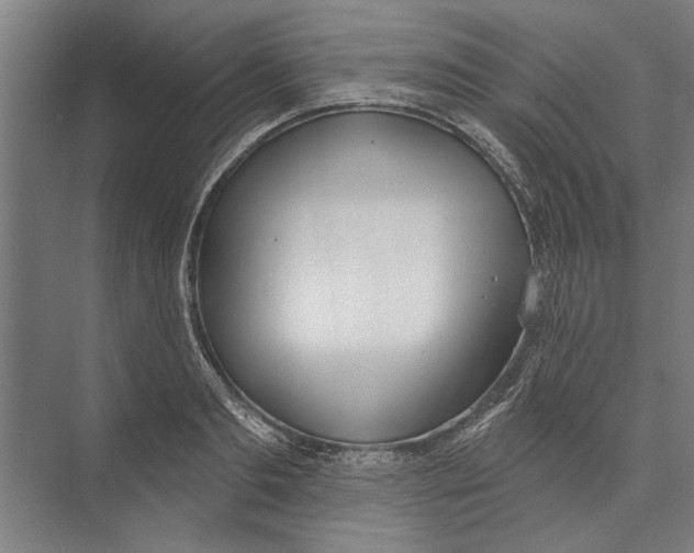 X0000071940893200608041524