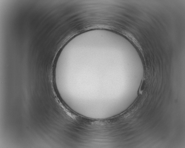 X0000071940898200608041524