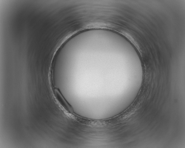 X0000071940901200608041524