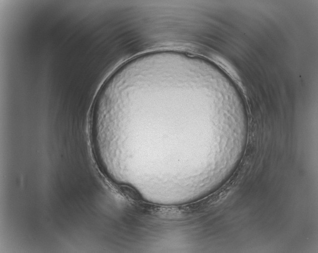X0000071940907200608041524