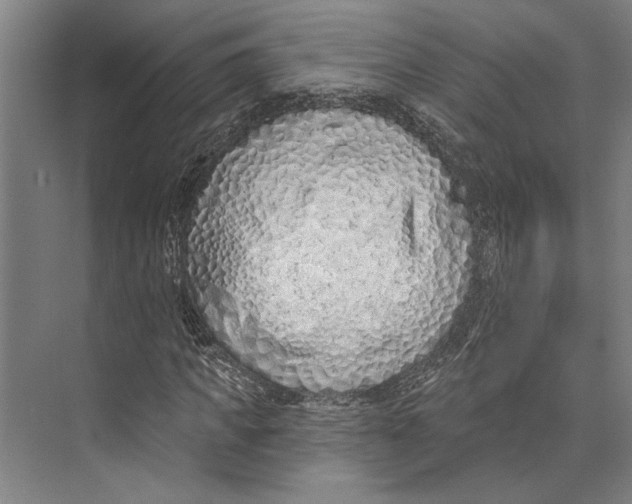 X0000071940917200608041523