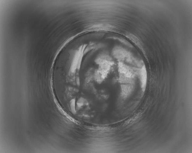 X0000071940941200608041523