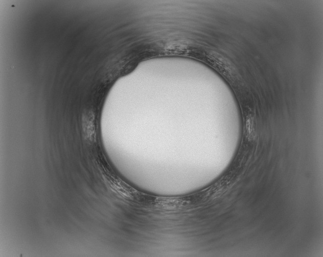 X0000071940963200608041523