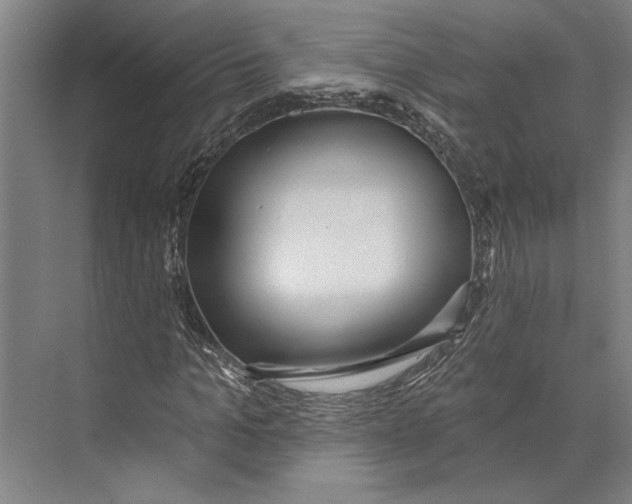 X0000071940965200608041523