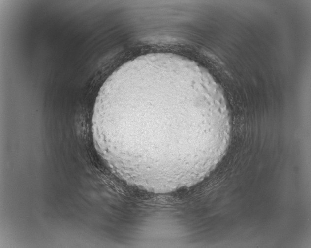 X0000071940966200608041523