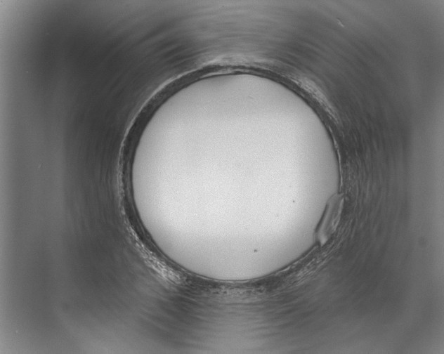 X0000071940976200608041522