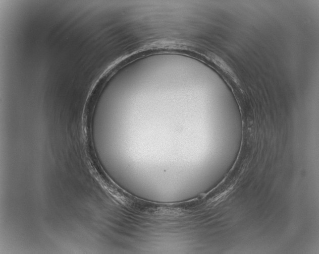 X0000071940981200608041522