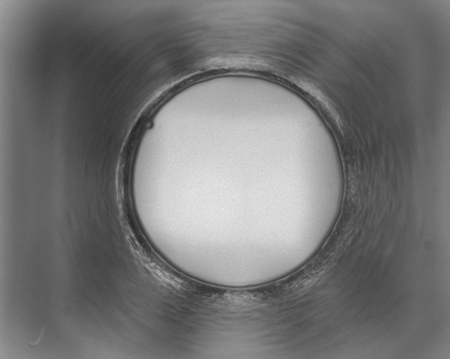X0000071940983200608041522