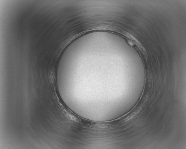 X0000071940993200608041522