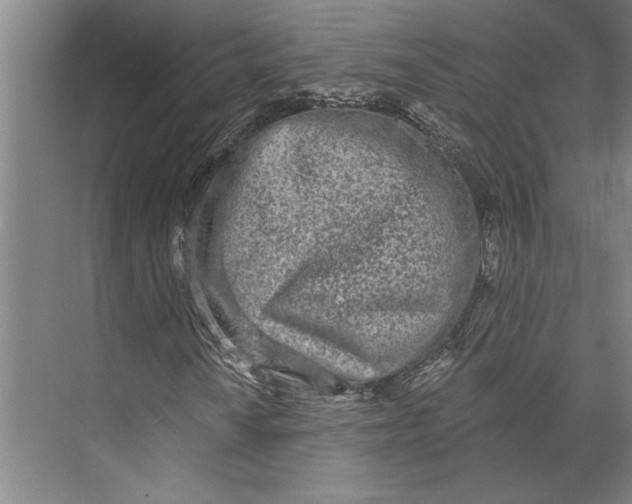 X0000071941010200608041521