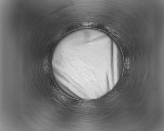 X0000071941011200608041521