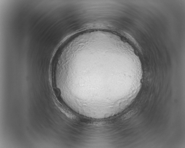 X0000071941035200608041522