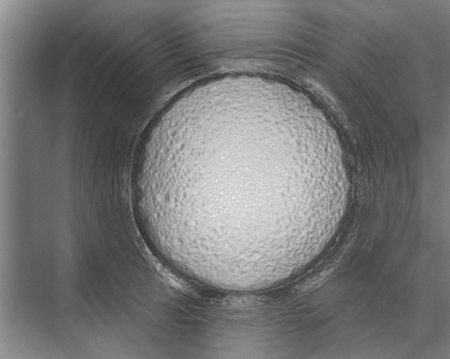 X0000071941041200608041522