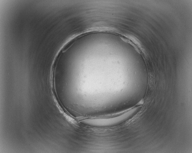 X0000071941046200608041522