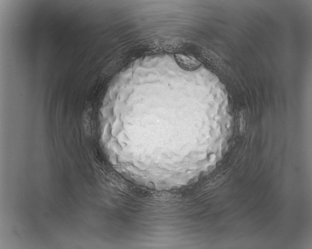 X0000071941059200608041521