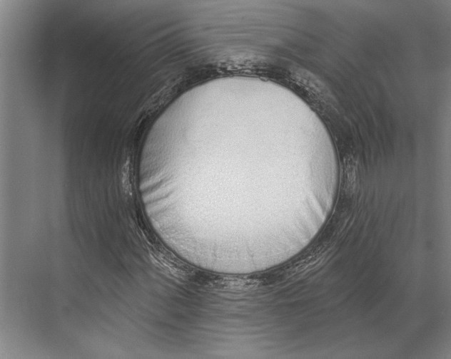 X0000071941060200608041521