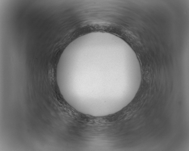 X0000071941061200608041521